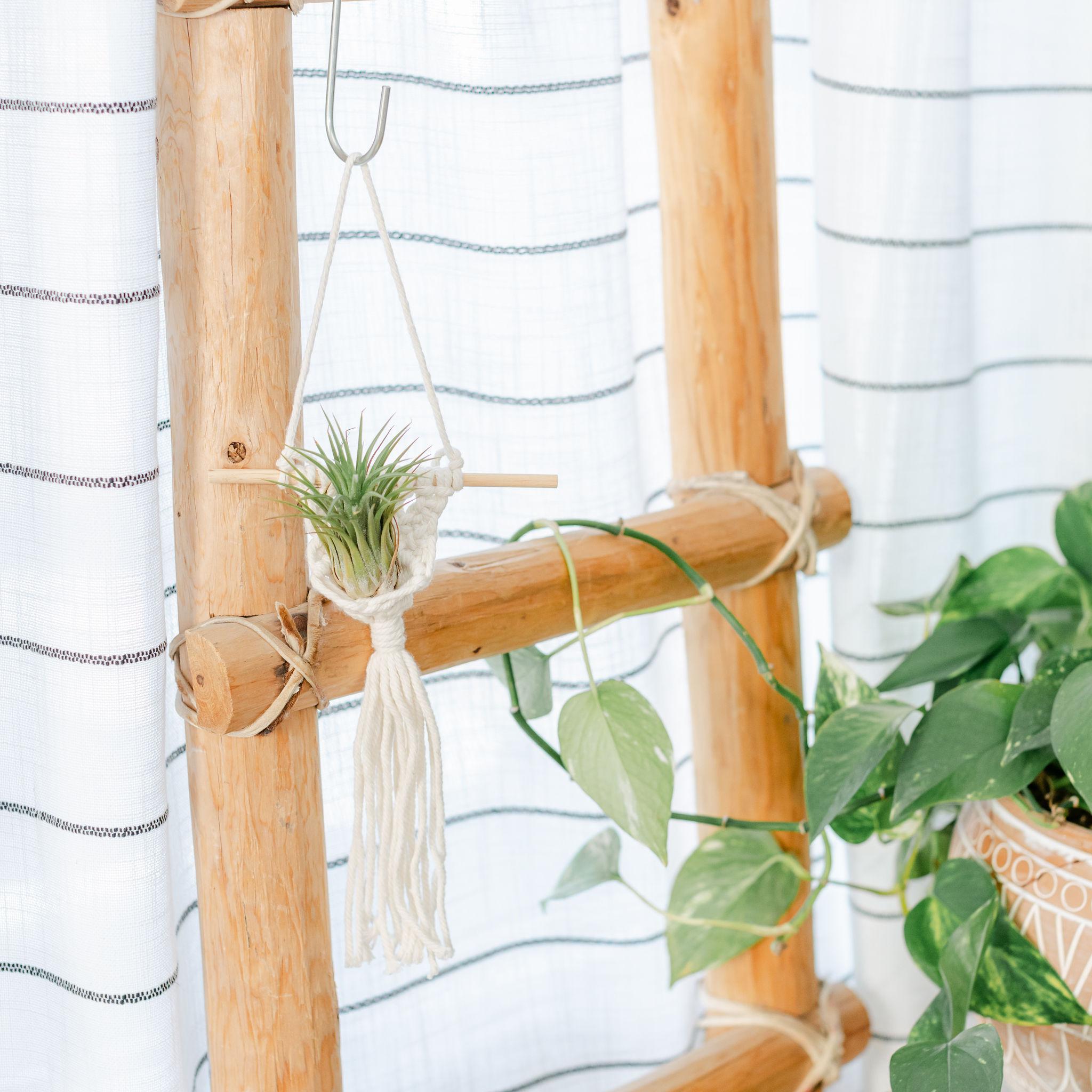 Mini Macrame Plant Hanger
