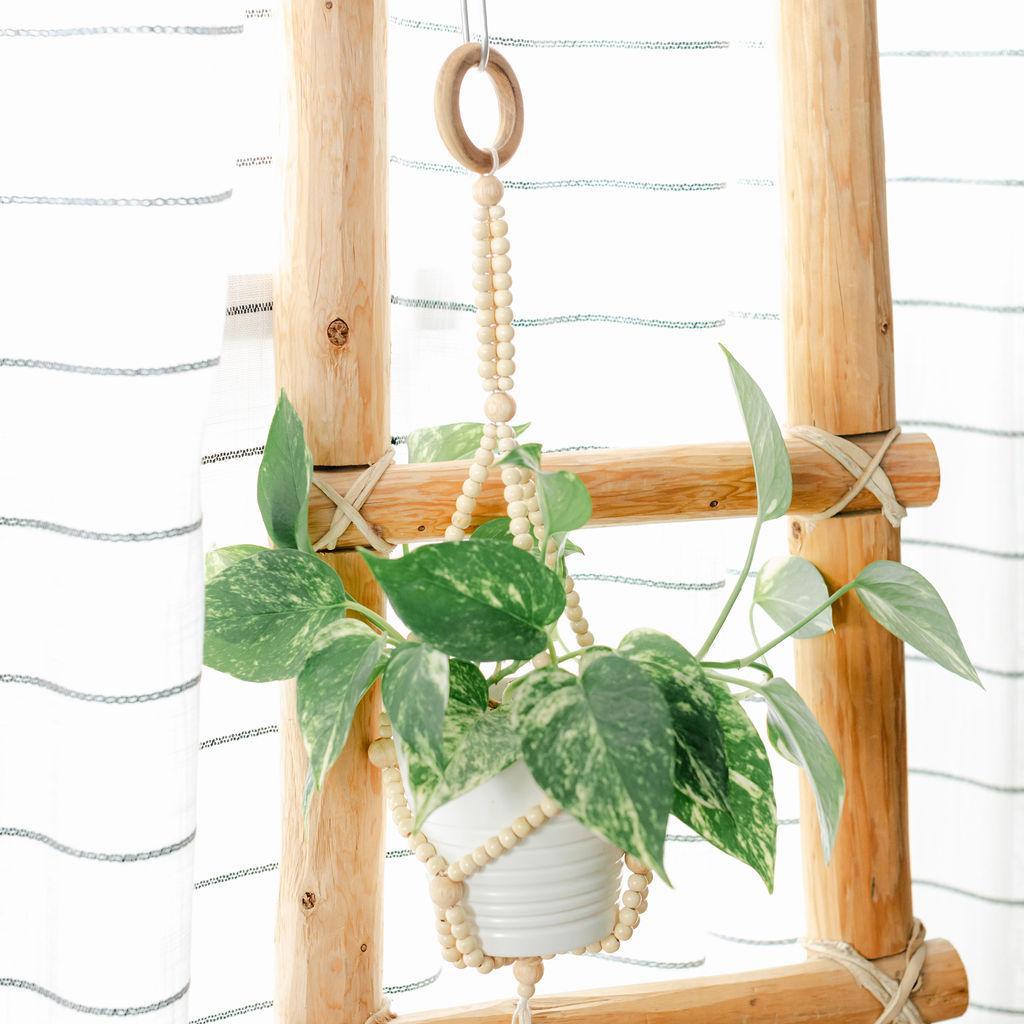 Small Beaded Plant Hanger