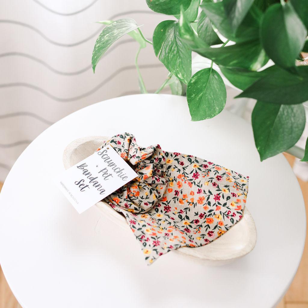 Scrunchie + Pet Bandana Set