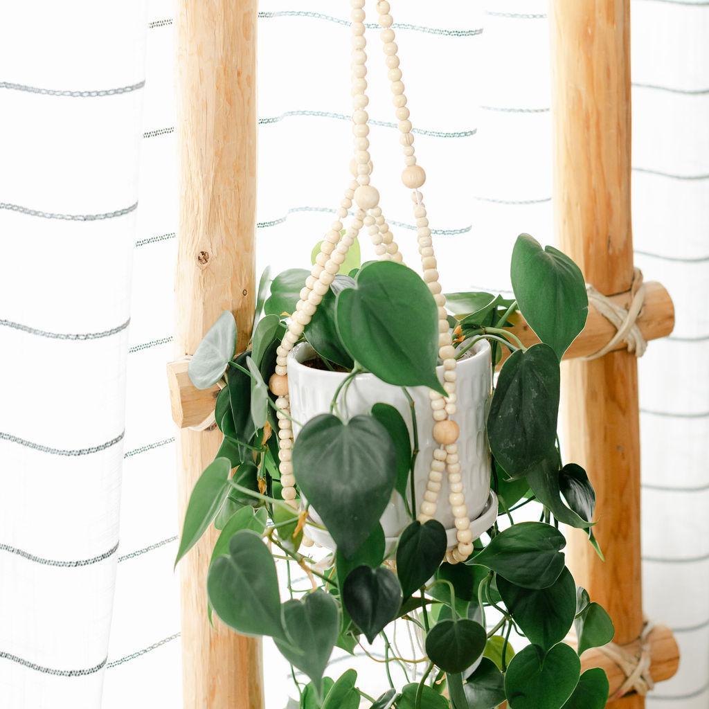 Large Beaded Plant Hanger